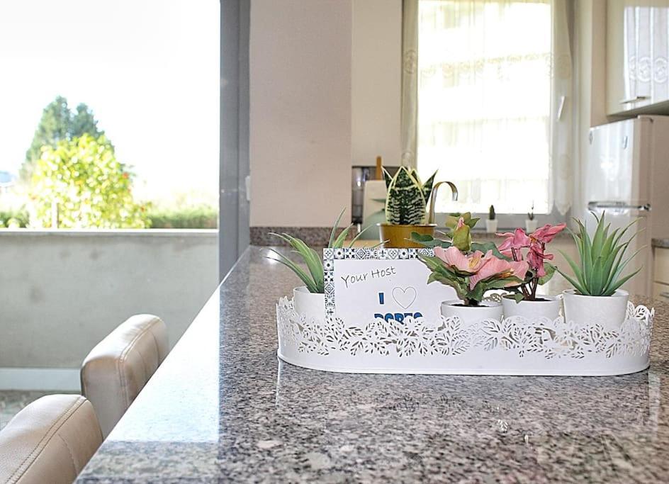 Arrabida Luxury Studio Vila Nova de Gaia Eksteriør billede